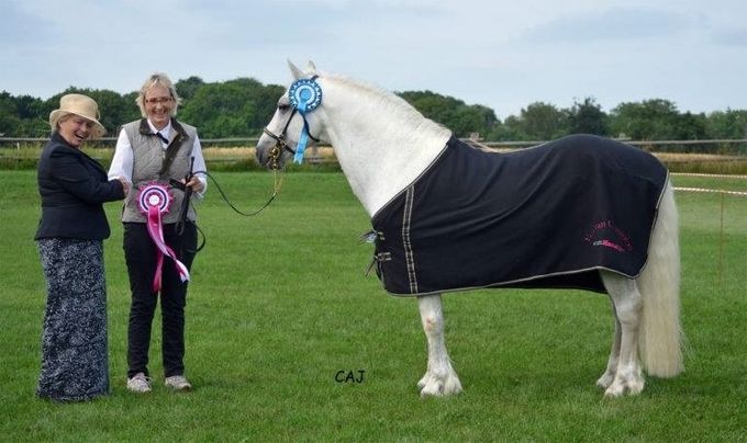 Kingstown Boy
Veteran Champion and RBS at Mountain & Moorland for Fun 2016